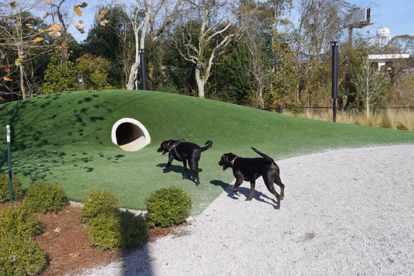 Moncus Park Dog Park